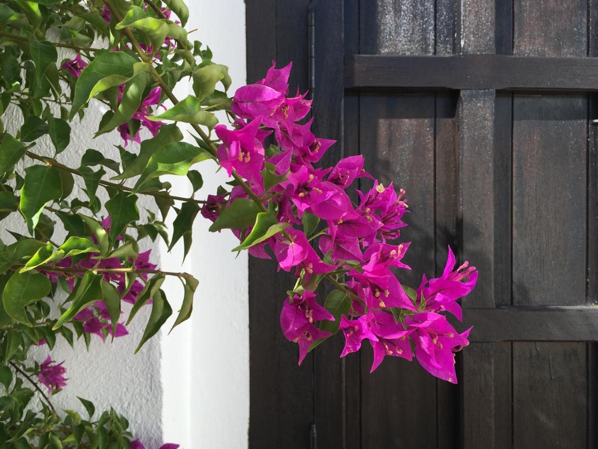 Villa De La Luz Luxury Guesthouse El Portil Εξωτερικό φωτογραφία