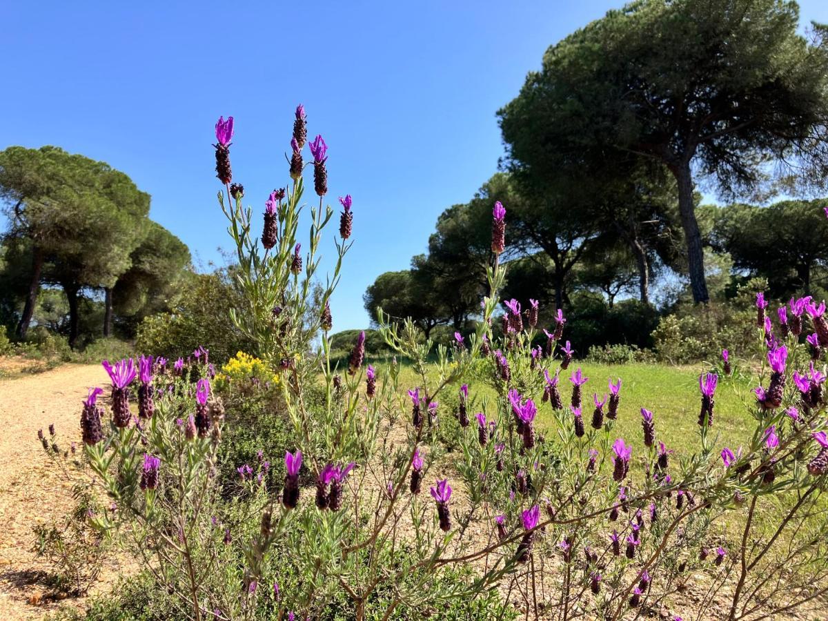 Villa De La Luz Luxury Guesthouse El Portil Εξωτερικό φωτογραφία